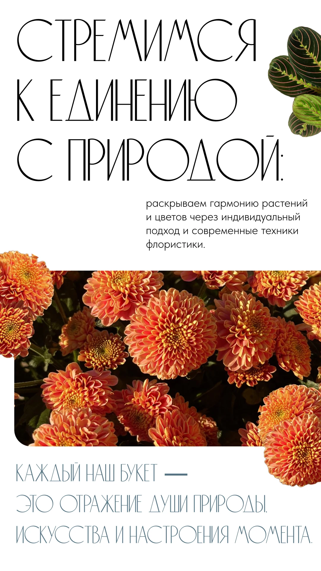 Внутренний экран Stories BFlorum: единение с природой