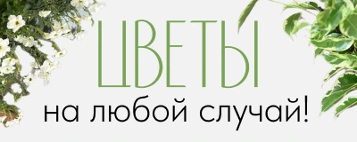 Баннер новости цветочного магазина: Цветы на любой случай