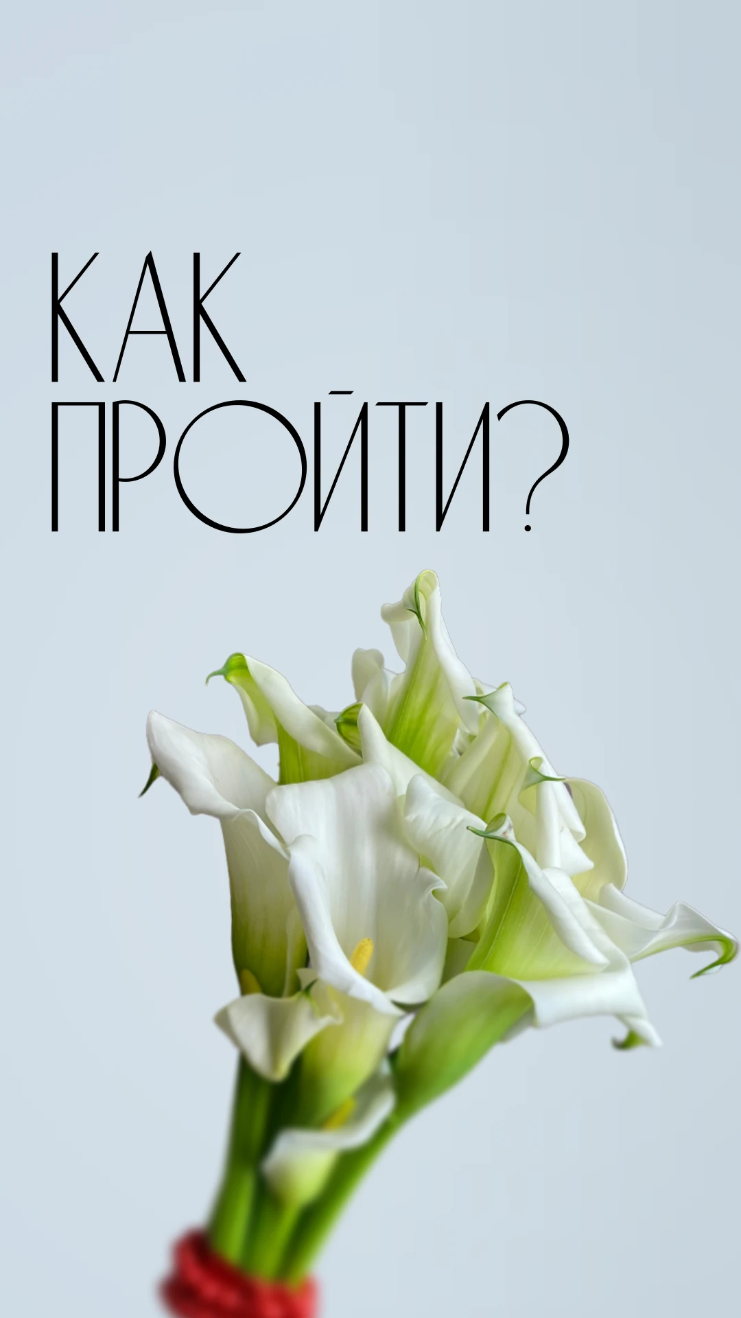 Обложка Stories цветочного магазина: Как пройти