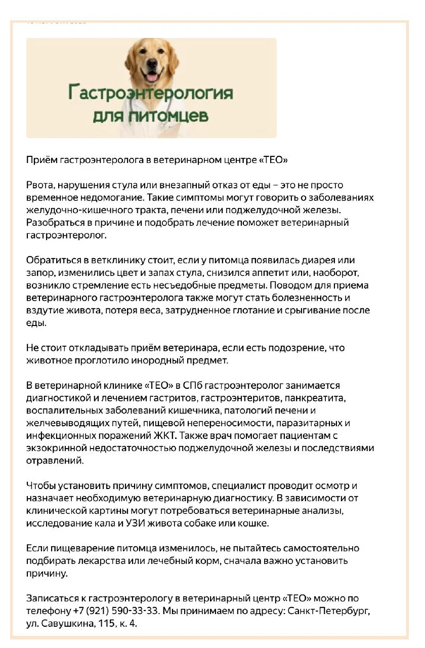 Пример новости о гастроэнтерологии для питомцев в карточке ветеринарной клиники