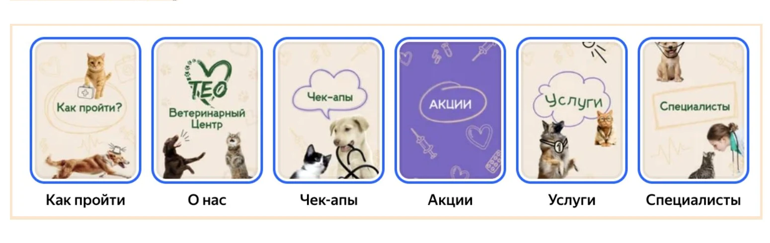 Шесть серий Stories ветеринарной клиники: как пройти, о нас, чек-апы, акции, услуги и специалисты